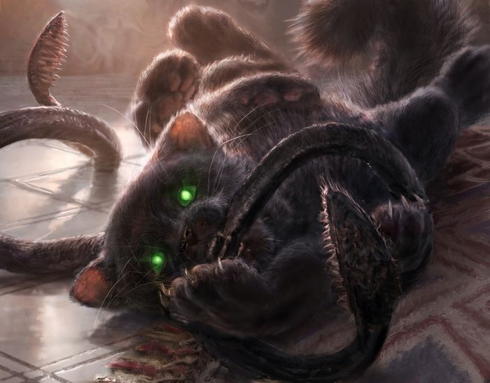 Displacer Kitten - Campbell White