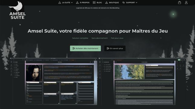 Site Web d'Amsel Suite