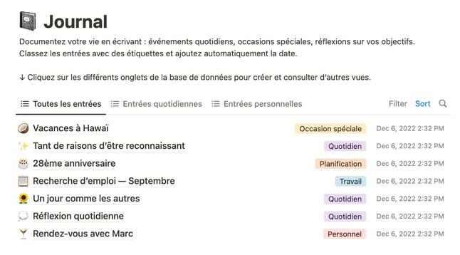 Exemple de base de données sur Notion